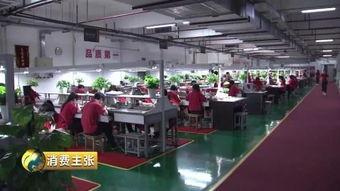 黄金时代 来了 国际金价创6年新高,是兑现好时机吗