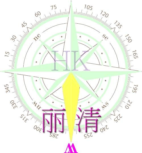 香港丽清国际实业
