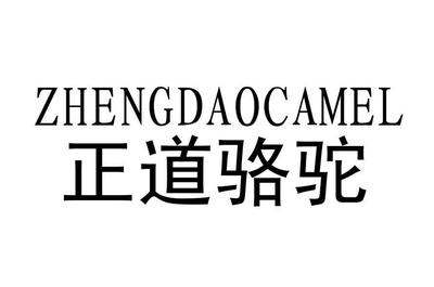 美国正道骆驼国际实业