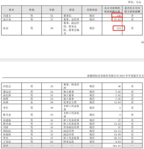 国际实业2024年亏损4.39亿元，董秘沈永薪酬逆势上涨至114万元