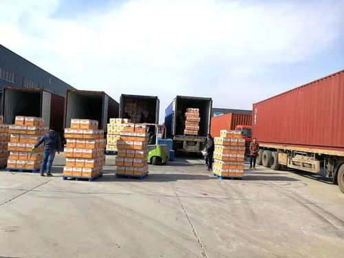 随县农产品出口跃居全省首位，国际实业驱动农业全球化